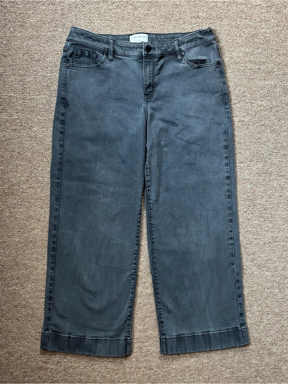 Lane Bryant Jeans Size 16